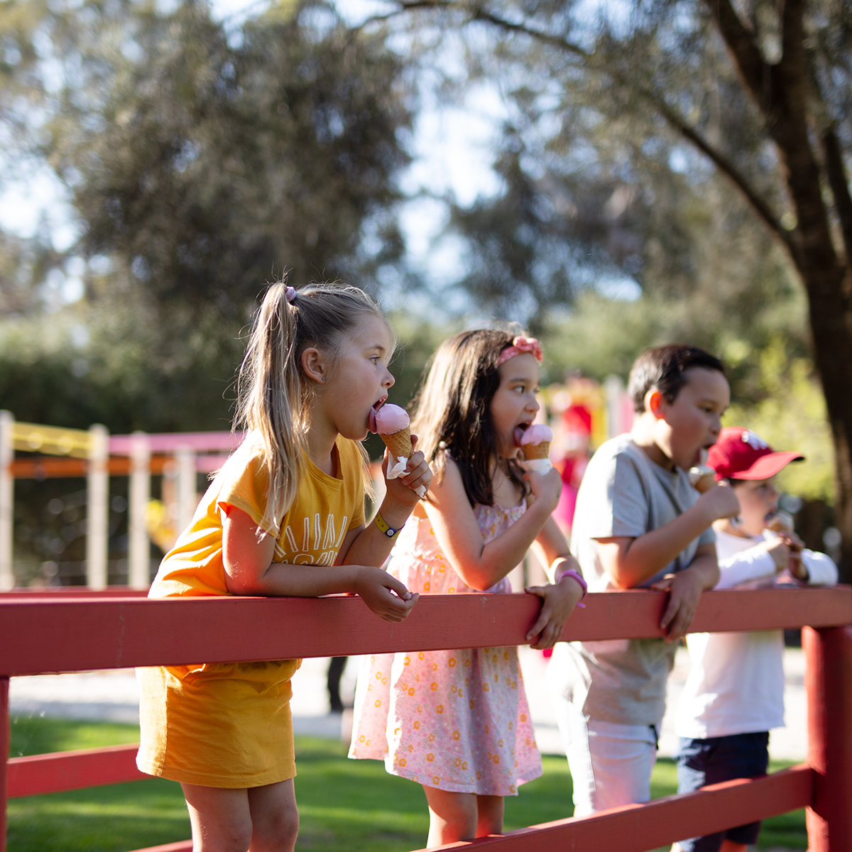 Simmo's Ice Creamery - RAC Busselton Holiday Park