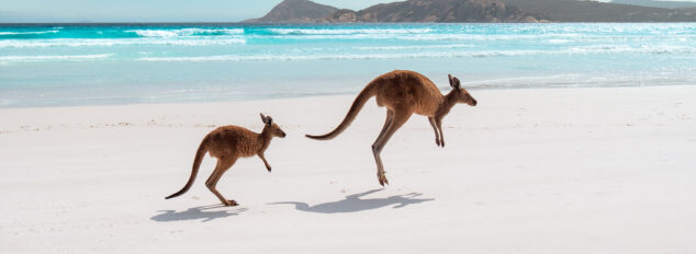 Cape Le Grand National Park Beaches