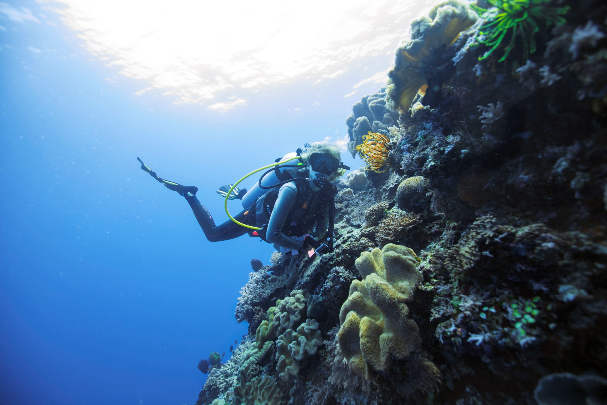 Scuba Diving - Rac Exmouth Cape Holiday Park