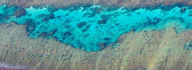 Scenic Flights