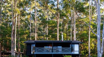 Chalet at RAC Karri Valley Resort, set among the forest