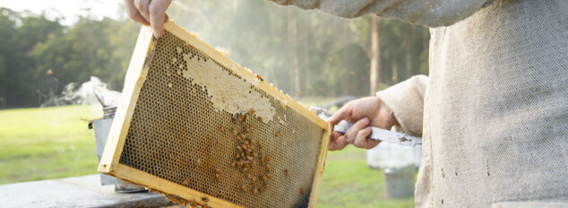 Pemberton Honey Co