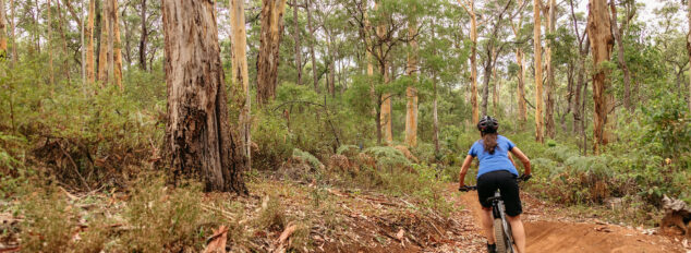 Bushwalks and mountain biking