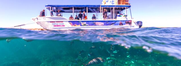 Coral Bay glass-bottom boat tours
