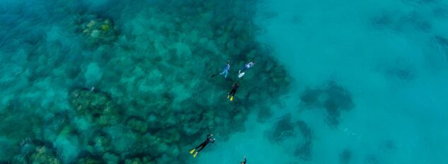Coral Bay snorkelling